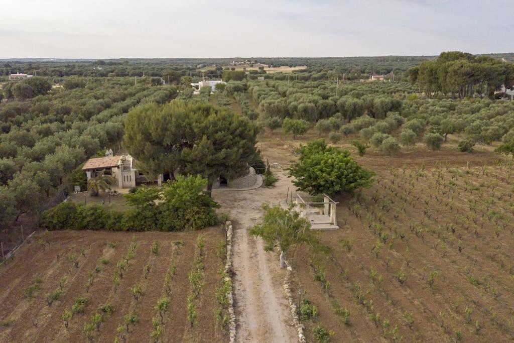 Villa Principe Degli Olivi Маруджо Экстерьер фото