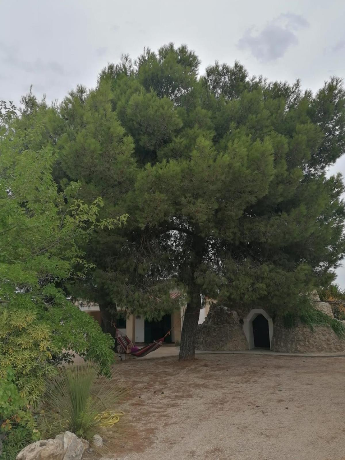 Villa Principe Degli Olivi Маруджо Экстерьер фото